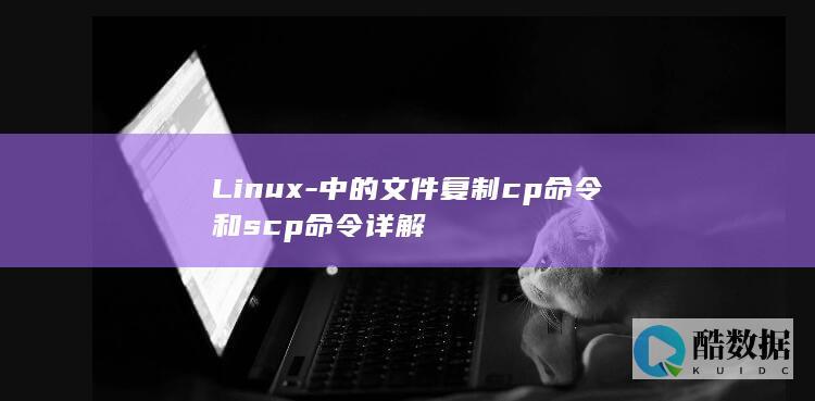 Linux-中的文件复制cp命令和scp命令详解