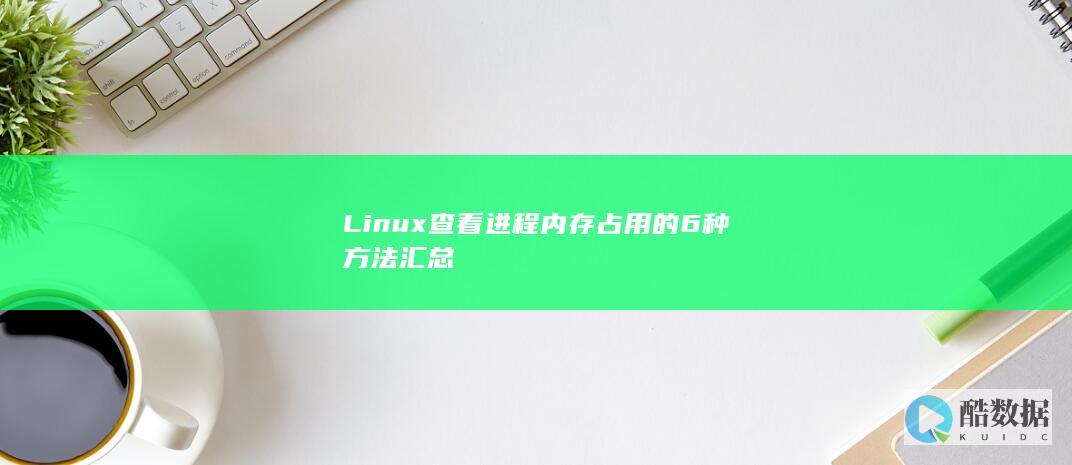 Linux查看进程内存占用的6种方法汇总
