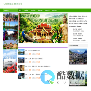 飞升国际旅行社有限公司